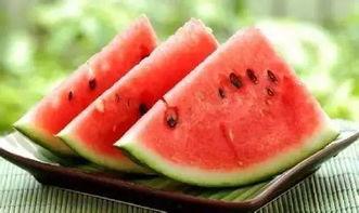 b站视频大全免费观看 