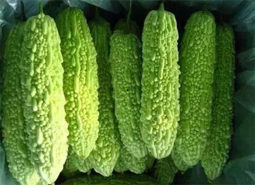 南宁网约车考试 