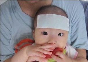 怎么可以吃兔兔 